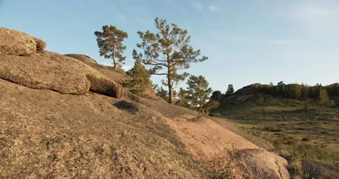 Rocks with young pine trees against a background of green hills and blue sky Stock Footage 141788835