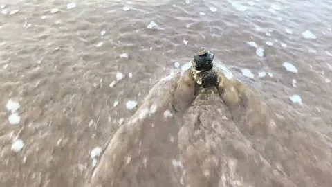 Rocks001A Vídeos de archivo 327221780