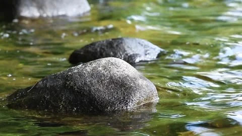 ROCKSINLAKE Stock Footage 259320847