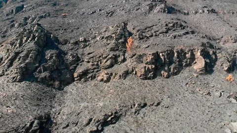 Rocktree Video stock 204814271