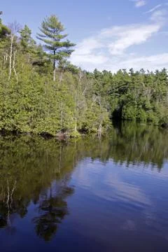 Rockwood reflection Stock Photos