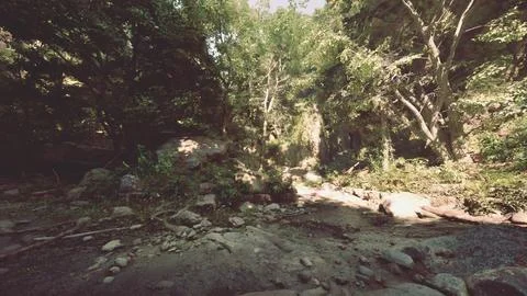 A rocky area surrounded by trees and rocks. mountain path Stock Illustration