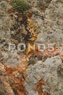 Rocky background Stock Photos