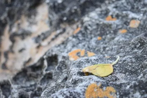 Rocky background Stock Photos