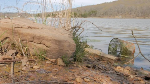 Rocky Bank of a Lake Stock Footage