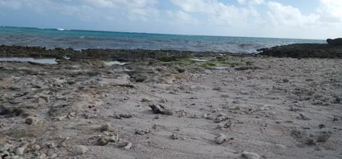 Rocky Beach and Ocean Waves in Punta Cana, Dominican Republic Stock Footage 339907929
