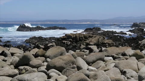 Rocky Beach with Birds and Squirrel at Pacific Grove Point Pinos Stock Footage 50273552