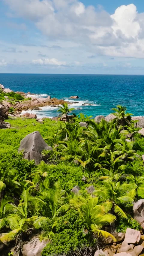 Rocky beach with bright blue waters and greenery. La Digue, Seychelles. Stock Footage 311492845