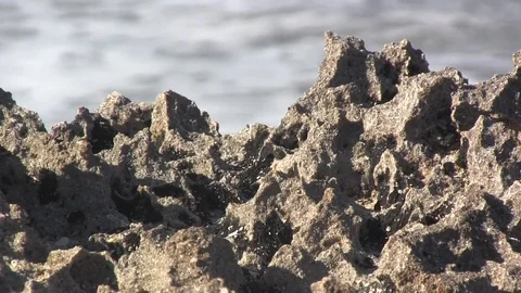 Rocky Beach Stock Footage 88435680