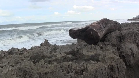 Rocky Beach Stock Footage 88591600