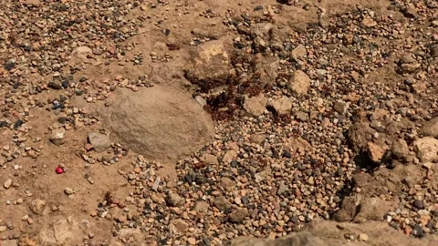 A rocky beach Stock Footage 155357665