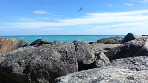 Rocky beach Stock Footage 256194030