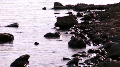 Rocky Beach Front Stock Footage 44442546