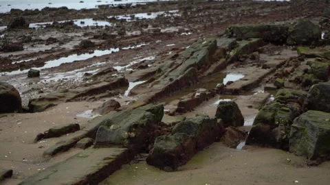 Rocky beach landscape at low tide revealing sedimentary layers 動画素材 334707747