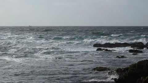 Rocky Beach in Monterey Video stock 158501662