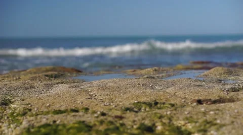 Rocky Beach with ocean in the background Video stock 61324166