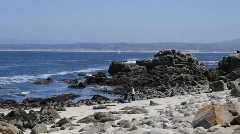 Rocky Beach at Pacific Grove Point Pinos Stock Footage 50272689