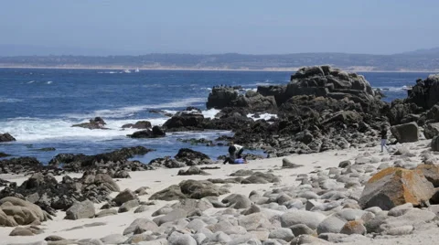 Rocky Beach at Pacific Grove Point Pinos Stock Footage 50272889