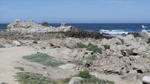 Rocky Beach at Pacific Grove Point Pinos Stock Footage 50273197