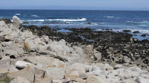 Rocky Beach at Pacific Grove Point Pinos Stock Footage 50273322