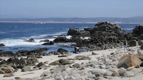 Rocky Beach at Pacific Grove Point Pinos Stock Footage 50273749