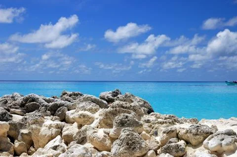 Rocky beach Stock Photos