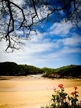 Rocky beach Foto stock