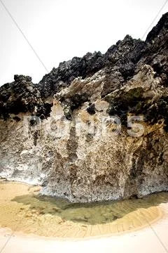 Rocky beach Stock Photos