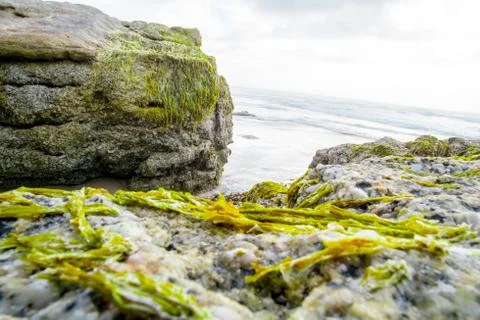 Rocky beach Stock Photos