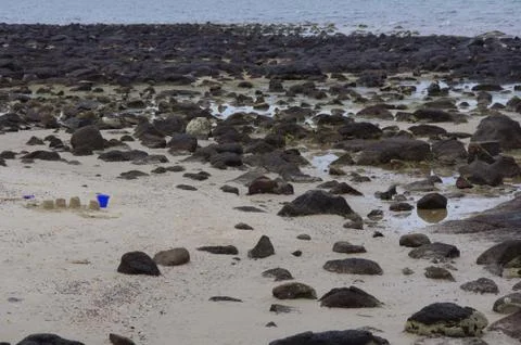 Rocky Beach Stock Photos