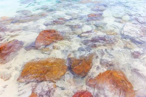 Rocky beach Stock Photos