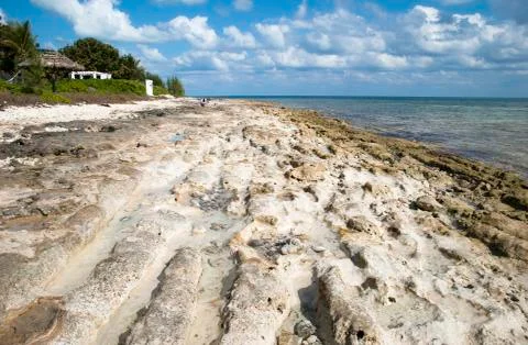 Rocky beach Stock Photos