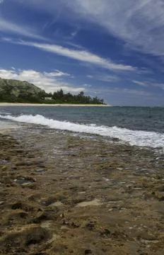 Rocky beach Stock Photos