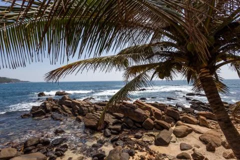 Rocky beach Stock Photos