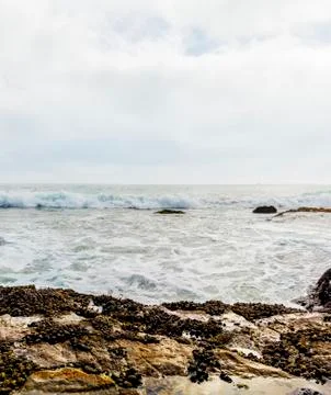 Rocky beach Stock Photos