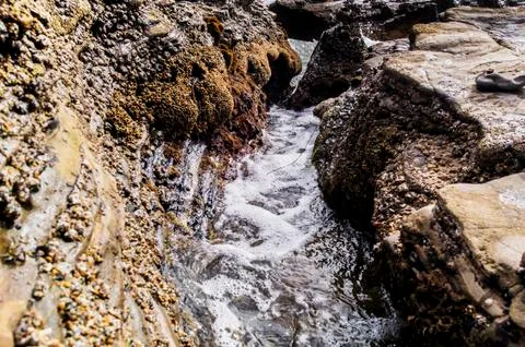 Rocky beach Stock Photos