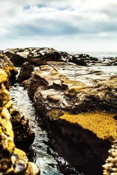 Rocky beach Stock Photos