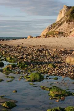 Rocky Beach Stock Photos