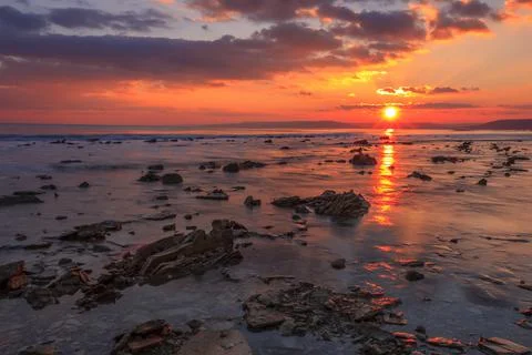 Rocky beach. Stock Photos
