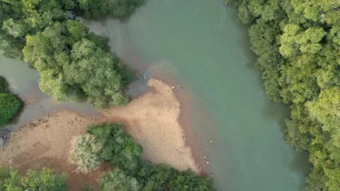 A rocky beach in a river among trees. Stock Footage 332260806