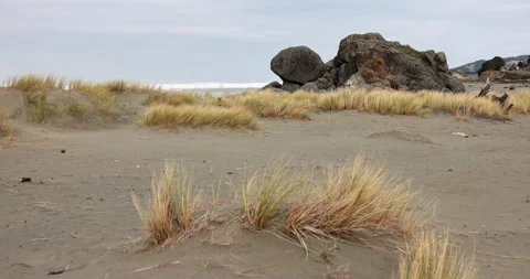 A rocky beach with a small patch of grass Stock Footage 270475120