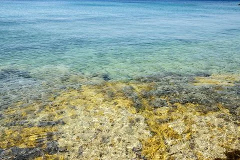 Rocky beach surface Stock Photos