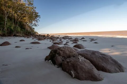 A rocky beach with a tree in the background Fotos Stock