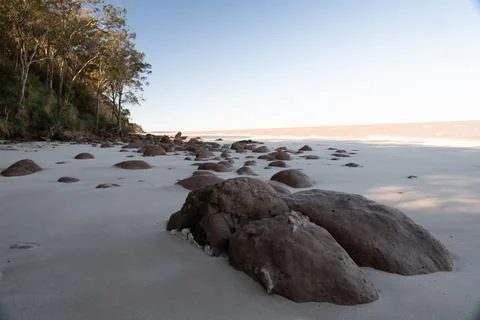 A rocky beach with a tree in the background Stock Photos