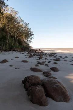 A rocky beach with a tree in the background Stock Photos