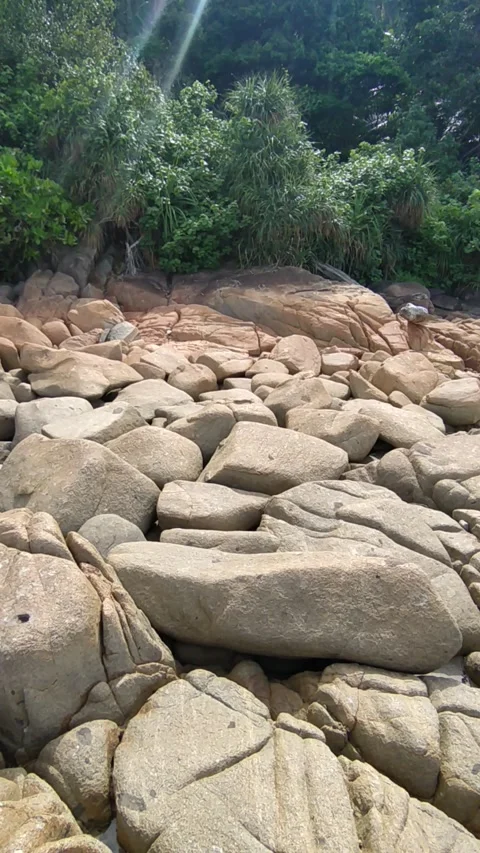 Rocky Beach With Trees 4K Nature Stock Footage 335939147