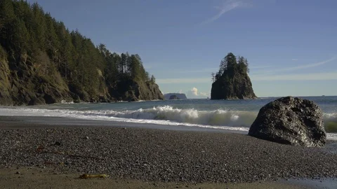 Rocky beach with trees Stock Footage 87433034