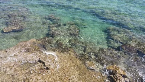 Rocky Beach, wave action , Video stock 149105558