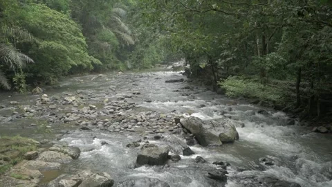 Rocky beautiful river in the forest Stock Footage 280892441