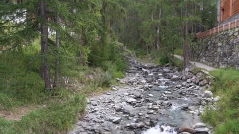 A rocky bed of a mountain river surrounded by fir trees. Stock Footage 161655397
